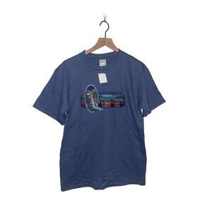 90s Vintage Anvil Shennandoah National Park VA Virginia Multicolor Graphic Blue